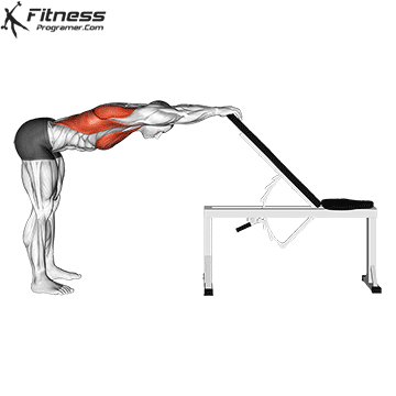Back and Pec Stretch
