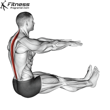 Cooldown Exercises