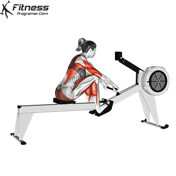 Exercises to Lose Weight