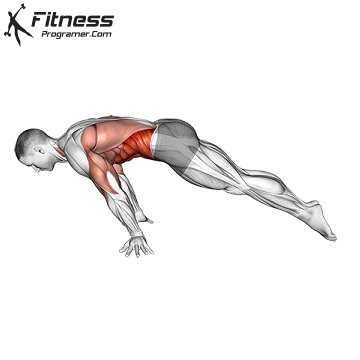 lean planche